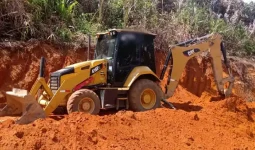 
										Retrocargador Caterpillar 416F2 año 2019 completo									