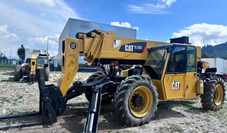 
								Tehandler  Caterpillar TL1255 cap. 5.500 KG disponibilidad unmediata completo									