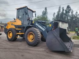 
										Cargador Hyundai HL635V año 2023 Horas 1306 Ubicacion Guacheta completo									