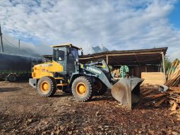 
										Cargador Hyundai HL635V año 2023 Horas 1306 Ubicacion Guacheta completo									