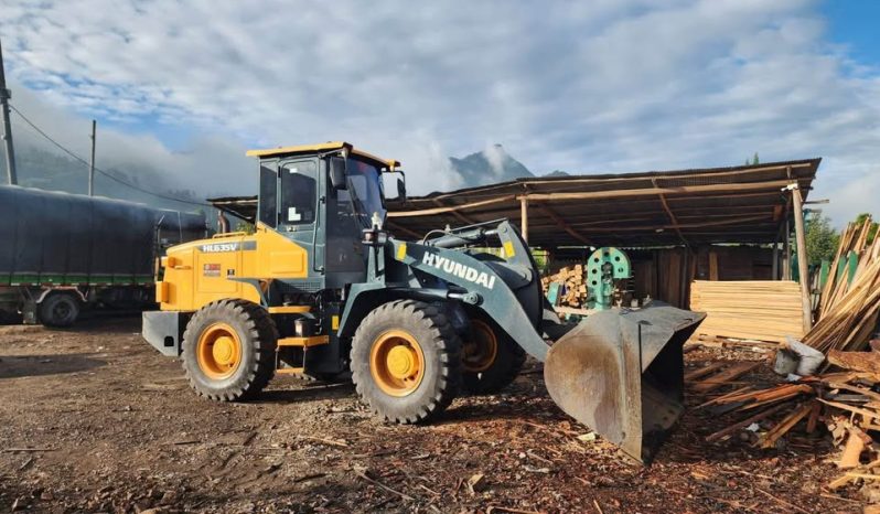 
								Cargador Hyundai HL635V año 2023 Horas 1306 Ubicacion Guacheta completo									