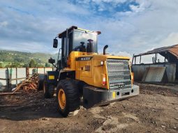 
										Cargador Hyundai HL635V año 2023 Horas 1306 Ubicacion Guacheta completo									