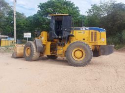 
										Cargador Sem 950B año 2012 completo									
