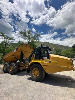 Dumper Caterpillar 730 año 2019