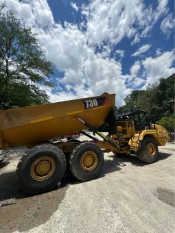 
										Dumper Caterpillar 730 año 2019 completo									