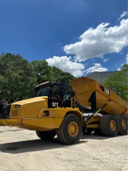 
										Dumper Caterpillar 730 año 2019 completo									