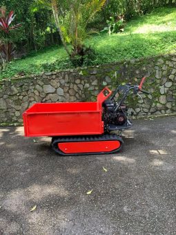 
										Minidumper Advance TAG 500 Advance nuevo capacidad 500 KG disponibilidad inmediata completo									
