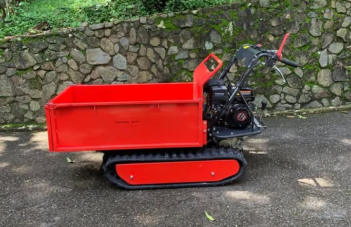 
								Minidumper Advance TAG 500 Advance nuevo capacidad 500 KG disponibilidad inmediata completo									