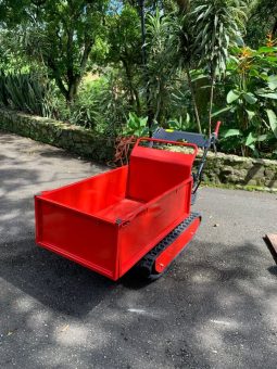 
										Minidumper Advance TAG 500 Advance nuevo capacidad 500 KG disponibilidad inmediata completo									