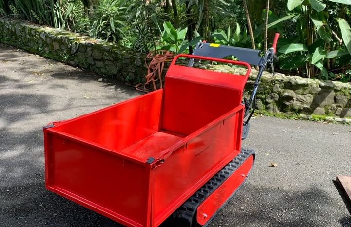
								Minidumper Advance TAG 500 Advance nuevo capacidad 500 KG disponibilidad inmediata completo									
