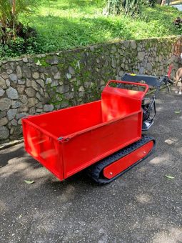 
										Minidumper Advance TAG 500 Advance nuevo capacidad 500 KG disponibilidad inmediata completo									