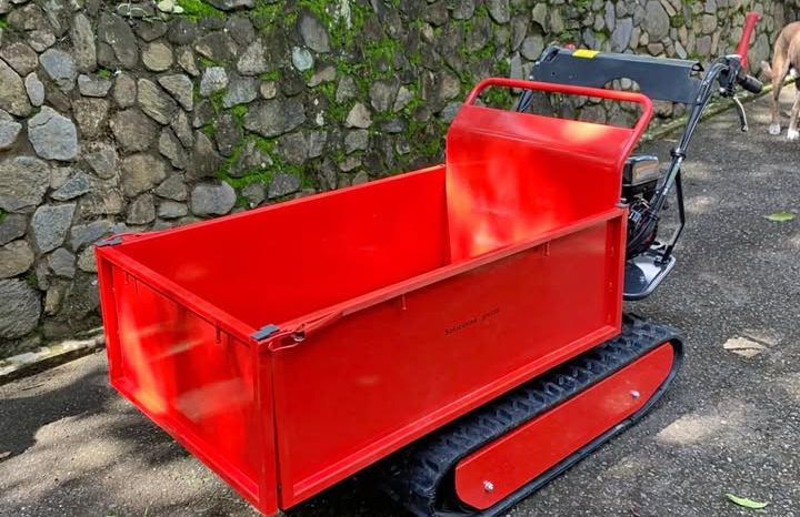 
								Minidumper Advance TAG 500 Advance nuevo capacidad 500 KG disponibilidad inmediata completo									