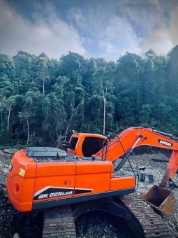 
										Excavadora Doosan 225 LCA año 2021 Horas 2021 completo									