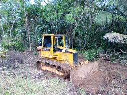 
										Bulldozer Caterpillar D5C año 2000  rodamiento 80% actualmente trabajando completo									