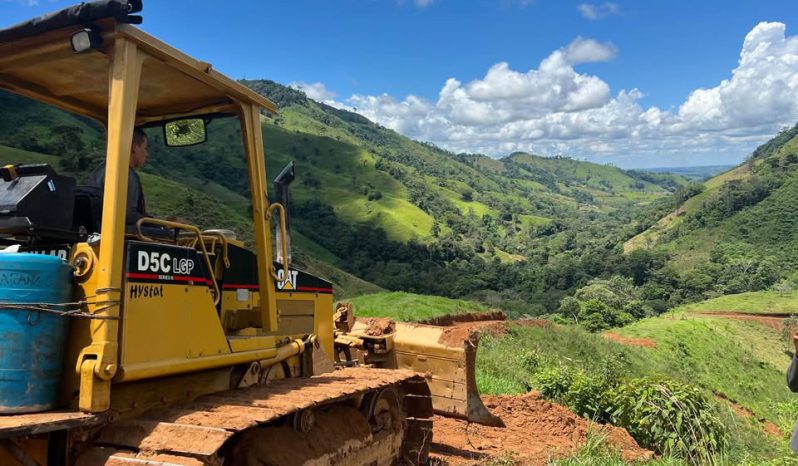 
								Bulldozer Caterpillar D5C año 2000  rodamiento 80% actualmente trabajando completo									