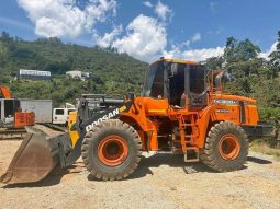 
										Cargador Frontal Doosan DL300A año 2018 horas 11750 completo									